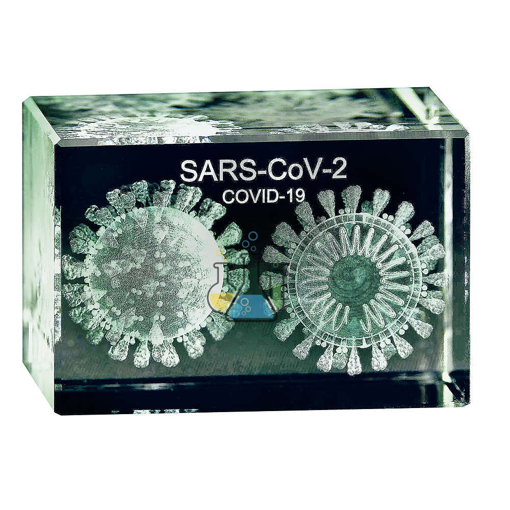 Coronavirus 3D Model in Glass